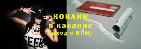 ГАЛЛЮЦИНОГЕННЫЕ ГРИБЫ Инсар