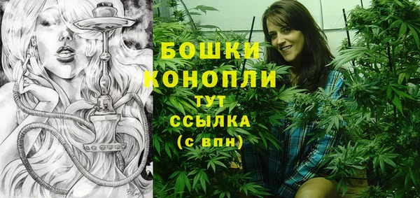 ГАЛЛЮЦИНОГЕННЫЕ ГРИБЫ Инсар