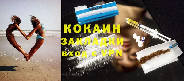 ГАЛЛЮЦИНОГЕННЫЕ ГРИБЫ Инсар