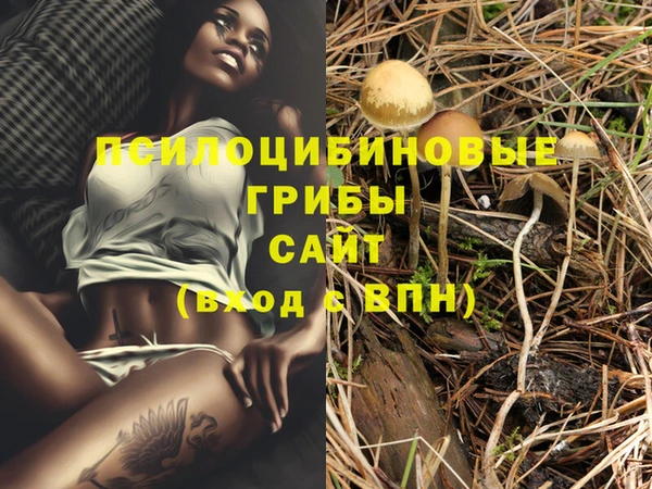 ГАЛЛЮЦИНОГЕННЫЕ ГРИБЫ Инсар